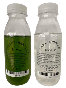 LIVE COPEPODS + PHYTOPLANKTON PACK