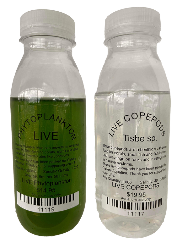 LIVE COPEPODS + PHYTOPLANKTON PACK