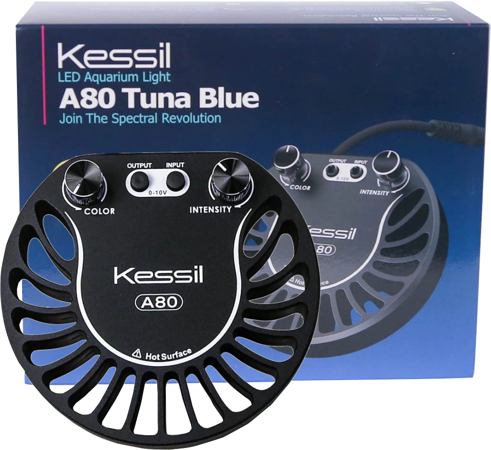 KESSIL A80 TUNA BLUE – Gallery Aquatica
