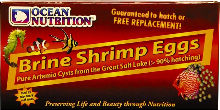 Ocean nutrition brine shrimp eggs hot sale