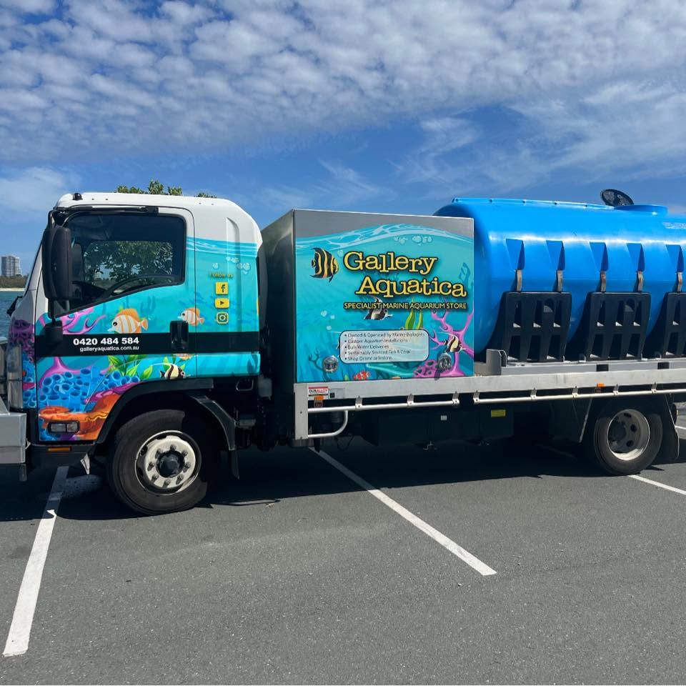 Drums of natural seawater ready for delivery to a Brisbane reef aquarium