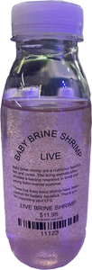 LIVE BABY BRINE SHRIMP