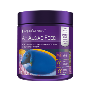 ALGAE FEED - AQUAFOREST