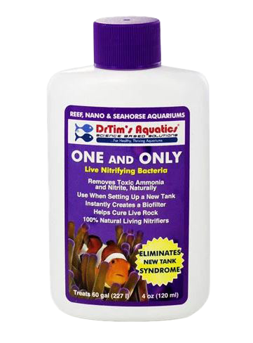 DR TIMS One and Only (MARINE) – Gallery Aquatica