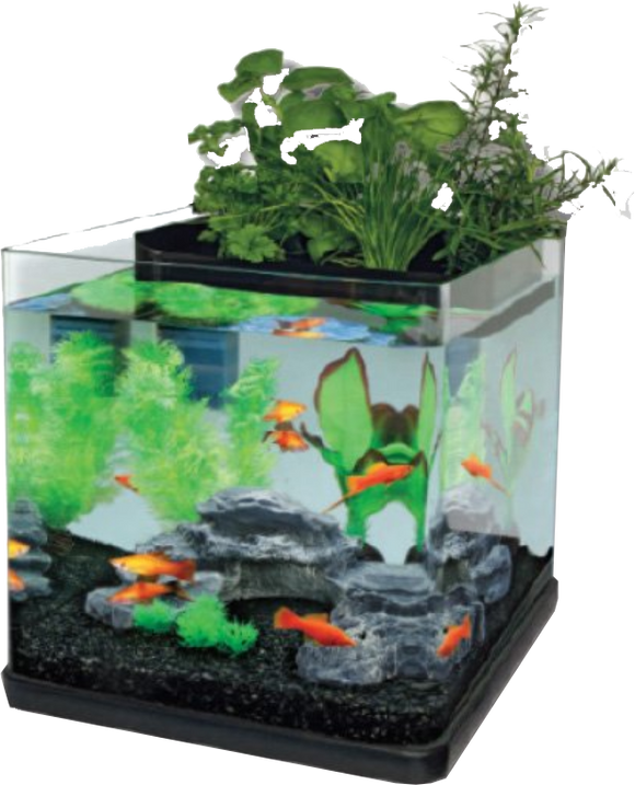Aquatopia fish deals tank