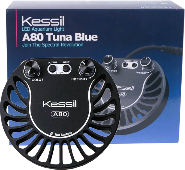 Kessil A80 Tuna Blue | 15W Nano Reef LED – Gallery Aquatica