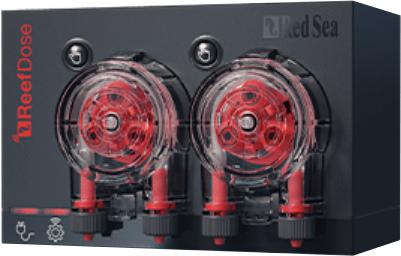 RED SEA REEF DOSE – Gallery Aquatica