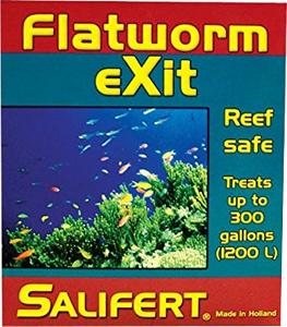 FLATWORM EXIT - SALIFERT