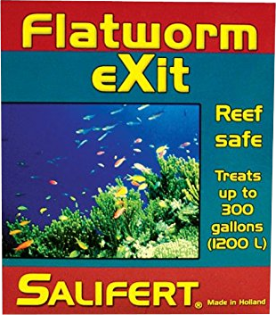 FLATWORM EXIT - SALIFERT