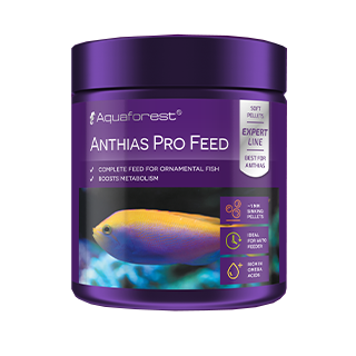 ANTHIAS PRO FEED